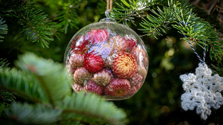 Dried flower decoration